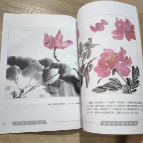 写意花卉画法 + 写意梅兰竹菊画法 （2本合售）