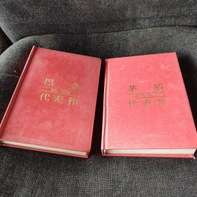 中国现当代著名作家文库：巴金代表作、茅盾代表作（两本合售）