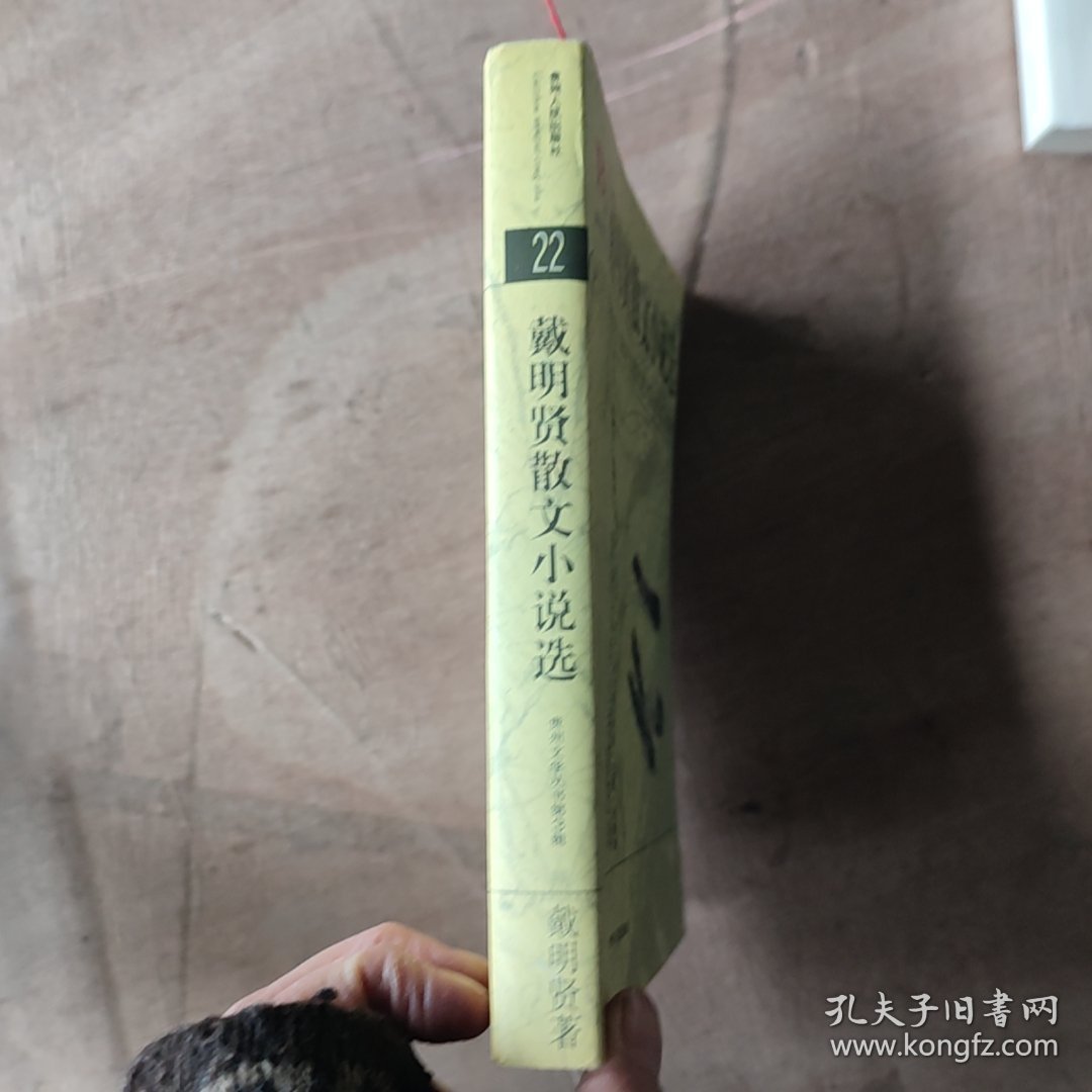 戴明贤散文小说选