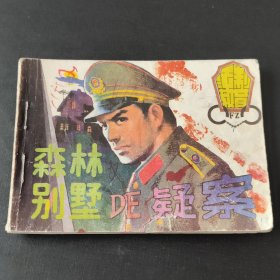 森林别墅DE疑