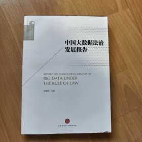 中国大数据法治发展报告