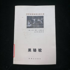 黑骆驼：世界侦探推理名著文库