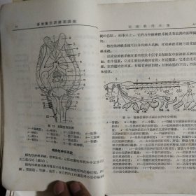 江苏省人民政府农业厅 畜牧兽医训练班讲义[代售]南柜1格