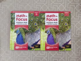 Math in Focus: Singapore Math by marshall cavendish 1A 1B（2本合售）精装