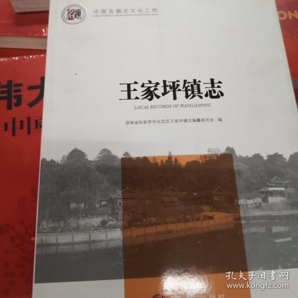 王家坪镇志/中国名镇志文化工程