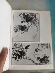 国画小品:[画册]/我怎样画翎毛