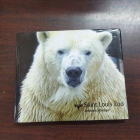 SAINT LOUIS ZOO：ANIMALS ALWAYS（英文原版）