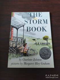 The Storm Book 暴风雨中的孩子