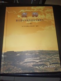 查海:新石器时代聚落遗址发掘报告（上册）