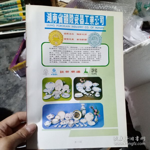 80年代，湖南省醴陵瓷器工业公司，南宁罐头食品厂，广告彩页一张