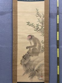 圆山应举，清代中期日本名家，圆山派之祖精品《猴图》