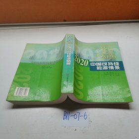 2020中国可持续能源情景