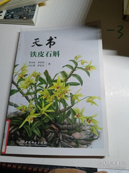 天书铁皮石斛