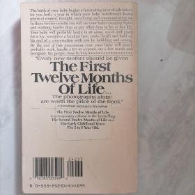 The First Twelve Months Of Life
生命的前十二个月