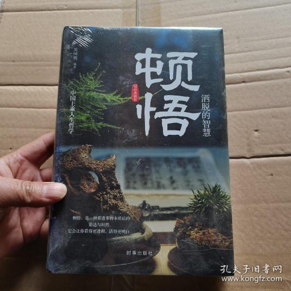 顿悟：洒脱的智慧