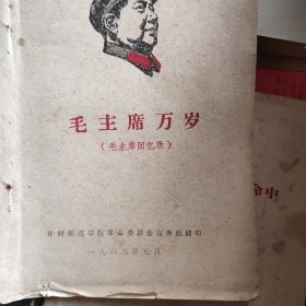 毛主席万岁(毛主席回忆录)