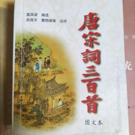 袖珍本三百首系列：唐宋词三百首（图文本）