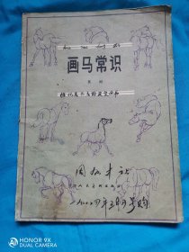画马常识