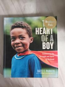 The Heart of a Boy: Celebrating the Strength and Spirit of Boyhood男孩之心：颂扬少年时代的力量和精神