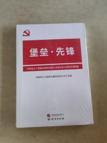 堡垒先锋：不断提升党支部工作标准化,规范化,品牌化水平 党支部优秀案例集 基层党务工作者开展工作的参考资料