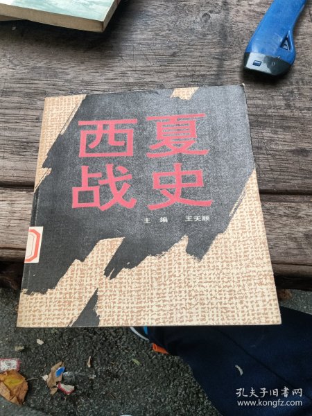 西夏战史