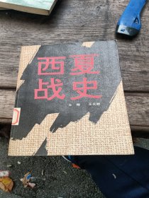 西夏战史