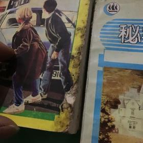 秘密七人团（上中下）：Secret Seven