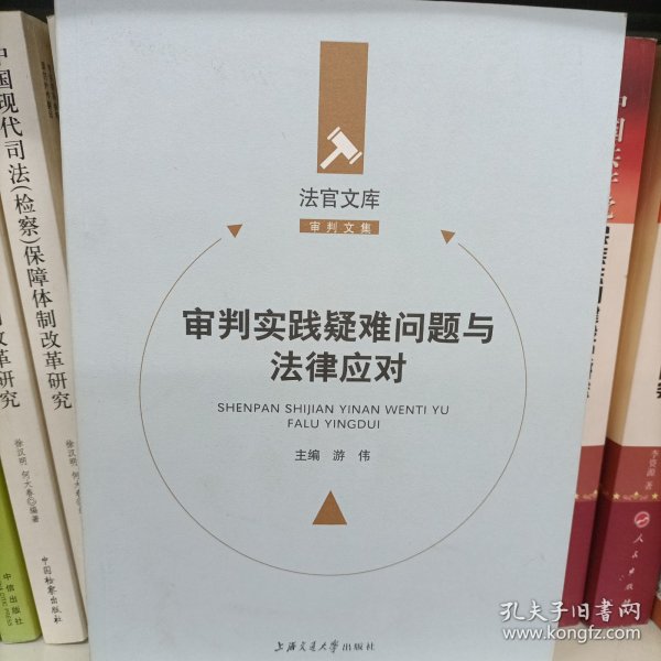 审判实践疑难问题与法律应对