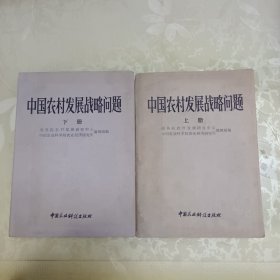 中国农村发展战略问题（上下）