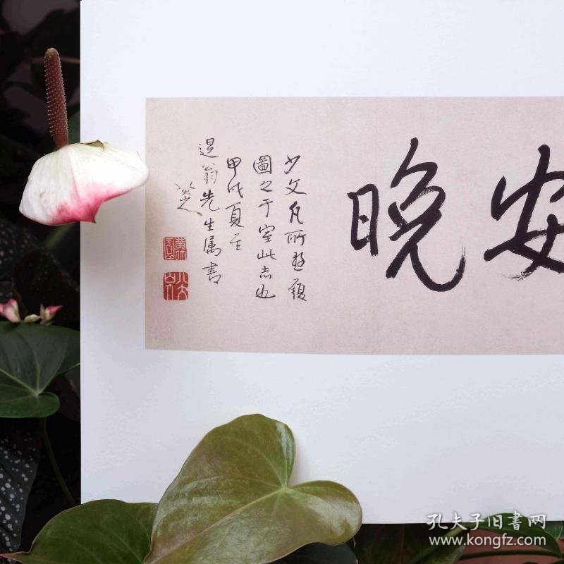 安晚 八大山人安晚册 9787534038334