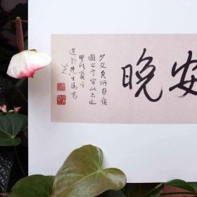 安晚 八大山人安晚册 9787534038334