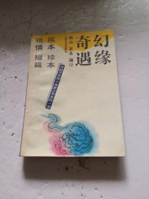 幻缘奇遇：寻回了中国小说史上失去的一页