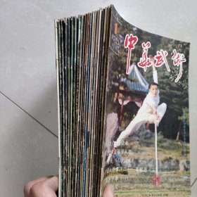 中华武术杂志 24本合售