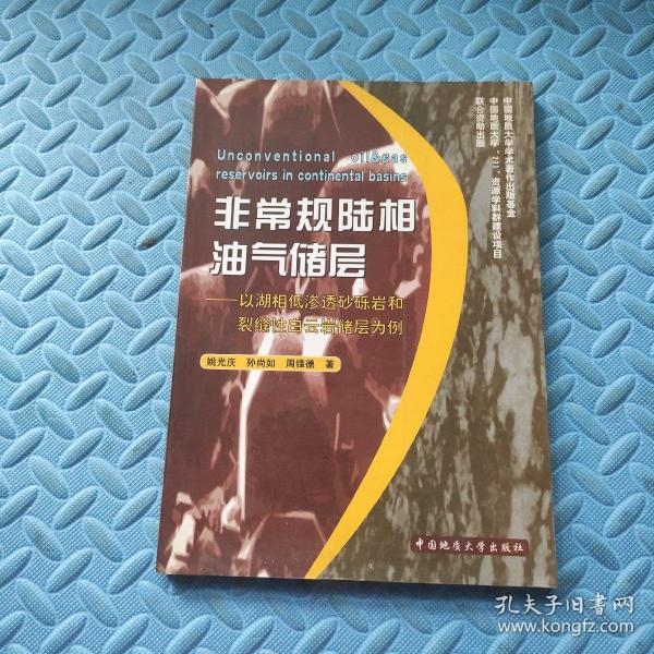 非常规陆相油气储层:以湖相低渗透砂砾岩和裂缝性白云岩储层为例