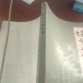 城市与城市志