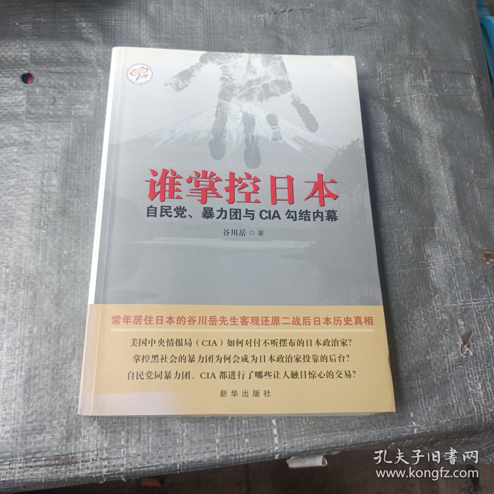 谁掌控日本：自民党、暴力团与CIA勾结内幕