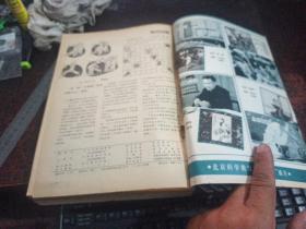 大众电影 (1982年全年12期 合订本)