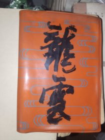 怀旧日记本《龙震日记（绘画风光插页）》软精装50开，已使用，详情见图！日记本（21）