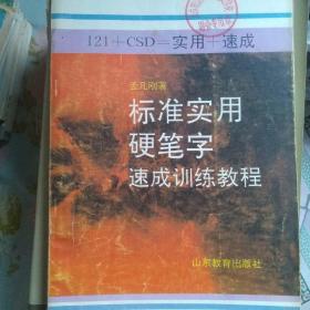 121+CSD=实用+速成 标准实用硬笔字速成训练教程