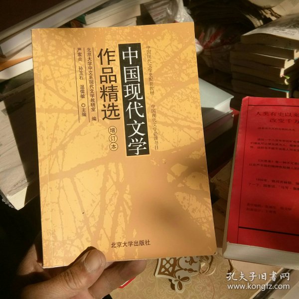 中国现代文学作品精选