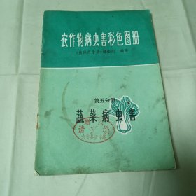 1972年1版1印 农作物病虫害彩色图册（第五分册蔬菜病虫害）