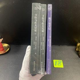 陀思妥耶夫斯基作品卡拉马佐夫兄弟(全2册)上下2册+地下室手记共3册合售