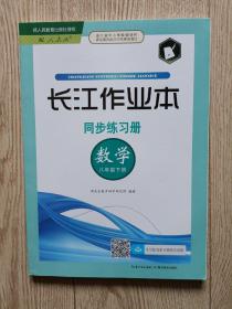 长江作业本 数学同歩练习册 【八年级下册】