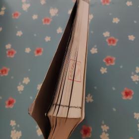 3ds Max/mental ray印象 超写实效果图表现专业技法【扉页侧面有章】