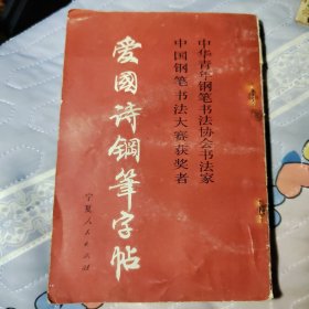 中华青年钢笔书法协会书法家 中国钢笔书法大赛获奖者 爱国诗钢笔字帖