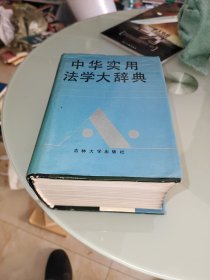 中华实用法学大辞典 精装