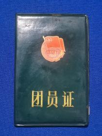 1989年平顶山八中团员证