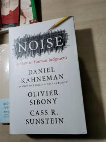 Noise: A Flaw in Human Judgment【噪音 人类判断的缺陷】英文原版精装