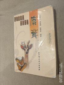鹿茸（2卧靠东墙中）