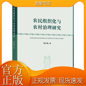 农民组织化与农村治理研究